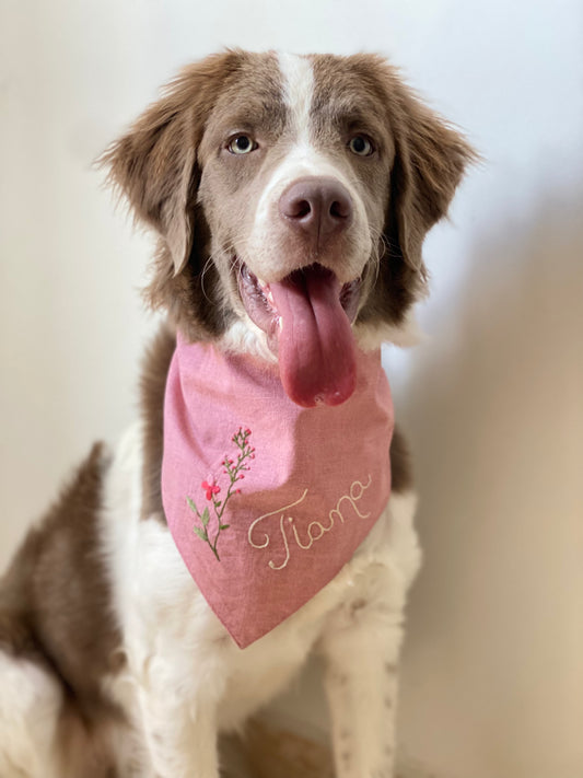 Bandana para cachorro – Clássica